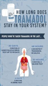 How-long-does-Tramadol-stay-in-your-system